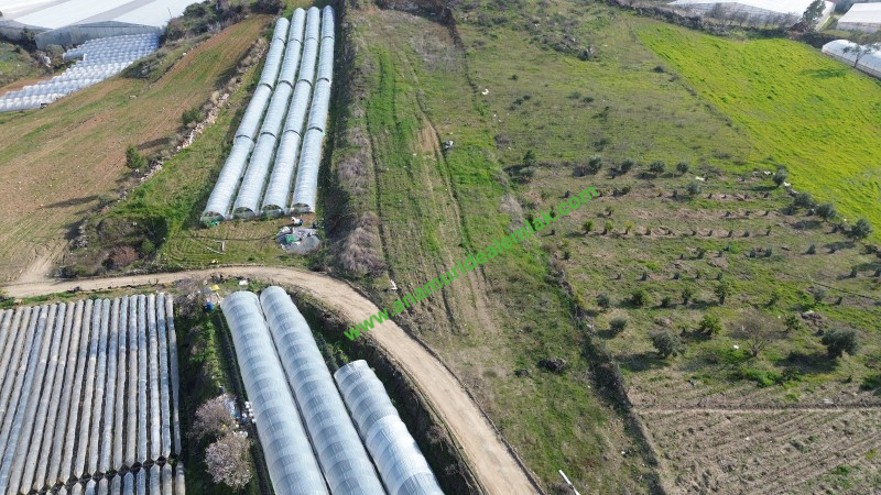 ANAMUR MALAKLAR 5000 M2 TARLA