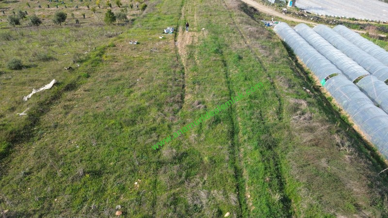 ANAMUR MALAKLAR 5000 M2 TARLA