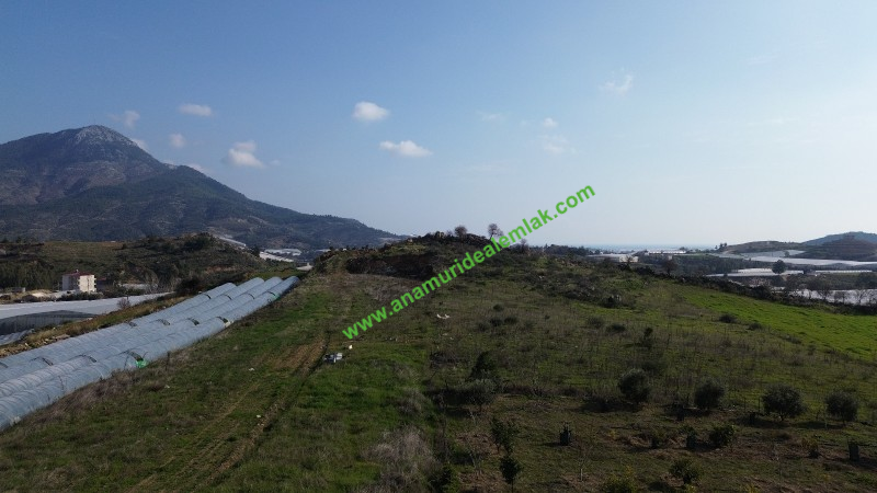 ANAMUR MALAKLAR 5000 M2 TARLA