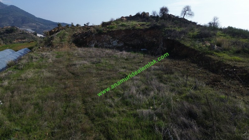 ANAMUR MALAKLAR 5000 M2 TARLA