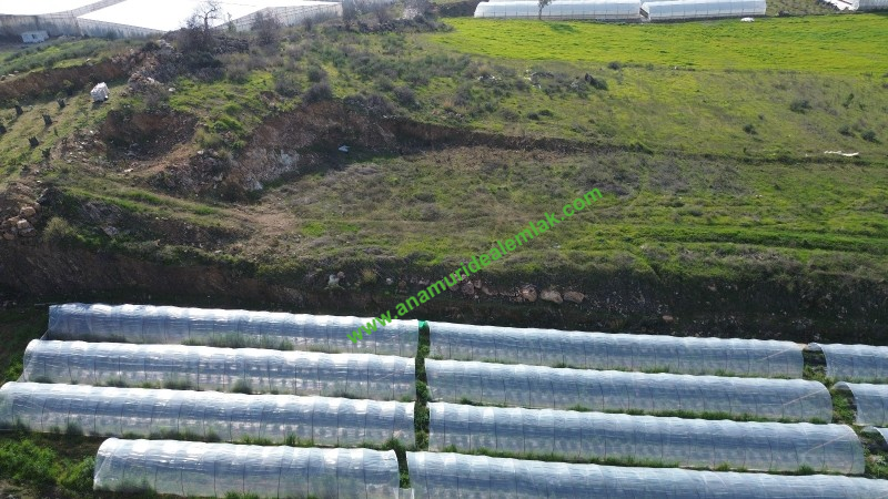 ANAMUR MALAKLAR 5000 M2 TARLA
