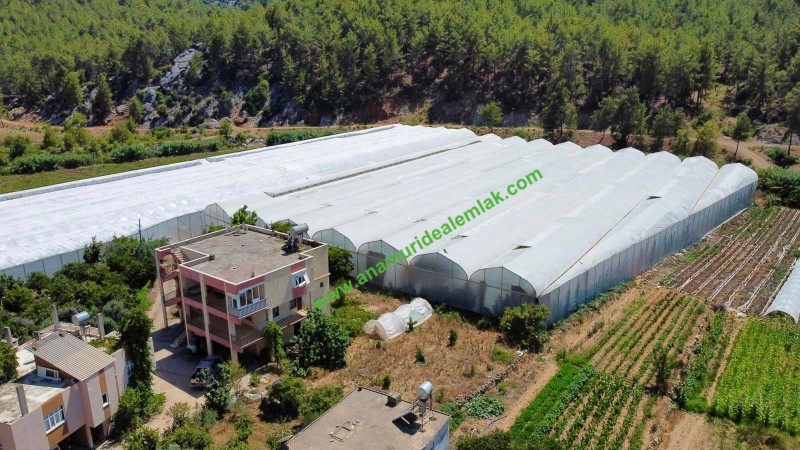 ANAMUR OVABAŞI KURULU DÜZEN MUZ SERASI VE 3 KATLI BİNA