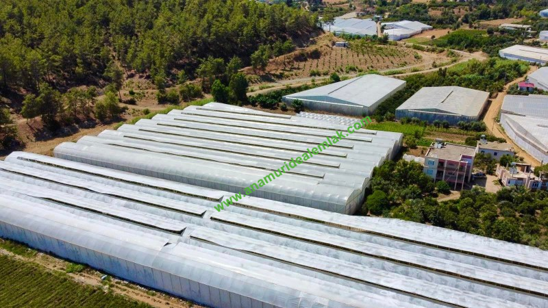 ANAMUR OVABAŞI KURULU DÜZEN MUZ SERASI VE 3 KATLI BİNA