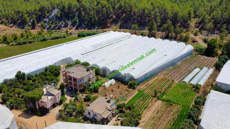 ANAMUR OVABAŞI KURULU DÜZEN MUZ SERASI VE 3 KATLI BİNA