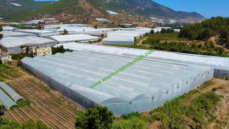 ANAMUR OVABAŞI KURULU DÜZEN MUZ SERASI VE 3 KATLI BİNA