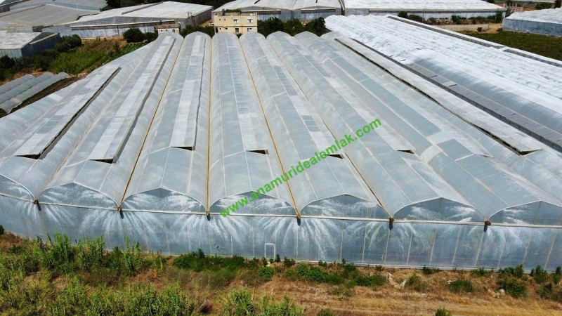 ANAMUR OVABAŞI KURULU DÜZEN MUZ SERASI VE 3 KATLI BİNA