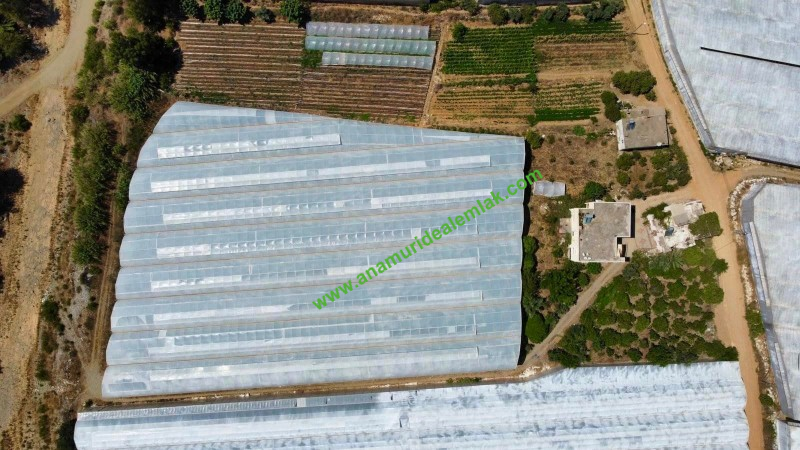 ANAMUR OVABAŞI KURULU DÜZEN MUZ SERASI VE 3 KATLI BİNA