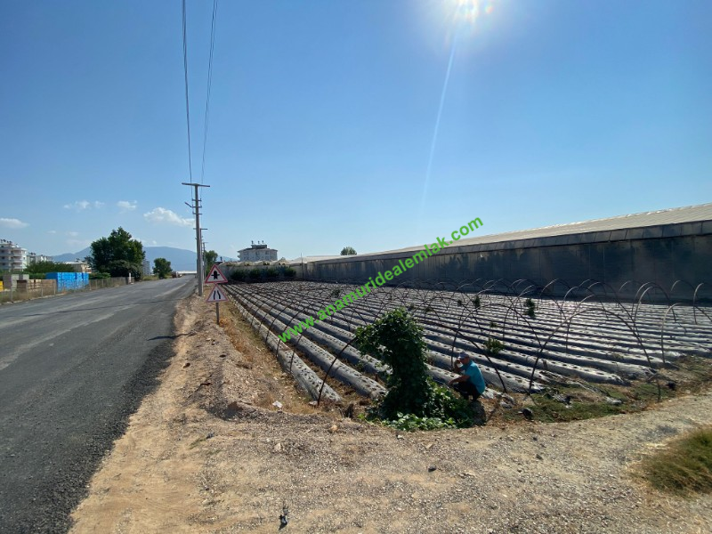 ANAMUR GÜZELYURT ANAYOL ÜZERİ SATILIK İMARLI ARSA