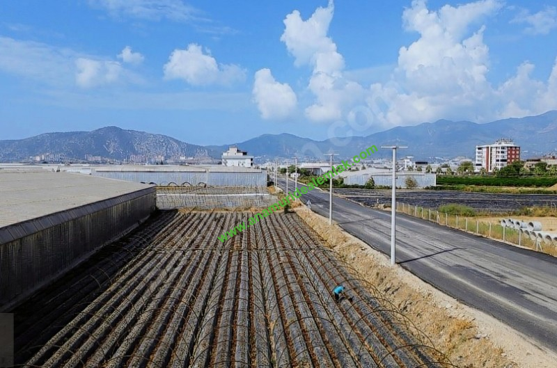 ANAMUR GÜZELYURT ANAYOL ÜZERİ SATILIK İMARLI ARSA