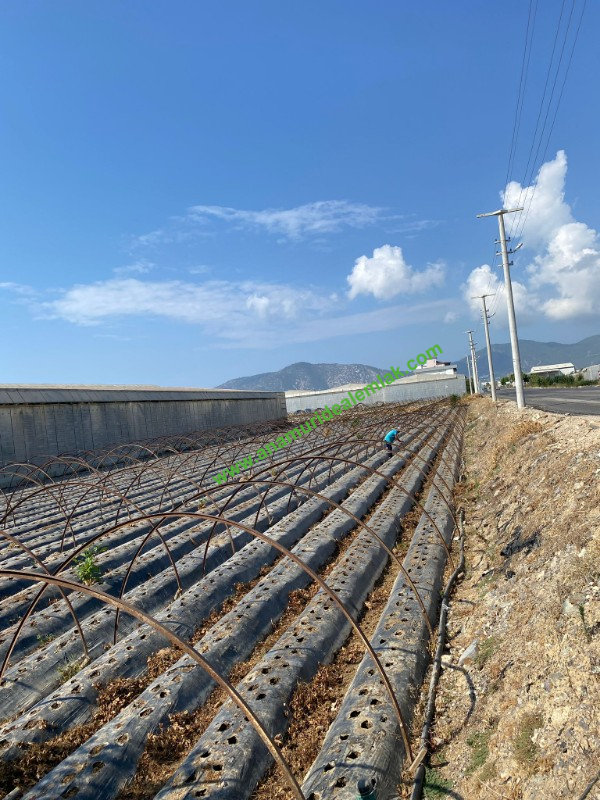 ANAMUR GÜZELYURT ANAYOL ÜZERİ SATILIK İMARLI ARSA