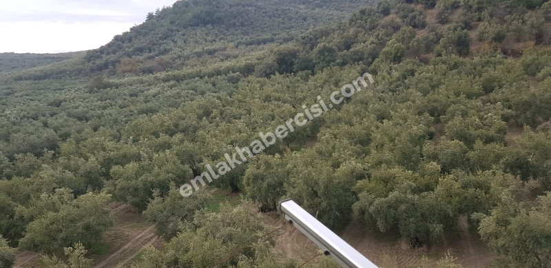 EMLAK HABERCİSİ' NDEN MUDANYA GÜZELYALI SİTELERDE KAT MÜLKİYETLİ, DENİZ MANZARALI 4+1 DUBLEKS