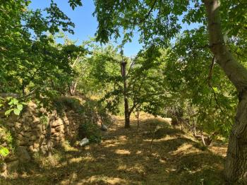 YEŞİL BURÇTA VADİ MANZARALI 1400M2 SATLIK BAHÇE