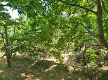 YEŞİL BURÇTA VADİ MANZARALI 1400M2 SATLIK BAHÇE