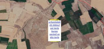 NİĞDE ORHANLIDA 3 ADET SATILIK TARLALAR