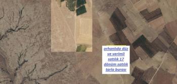 NİĞDE ORHANLIDA 3 ADET SATILIK TARLALAR