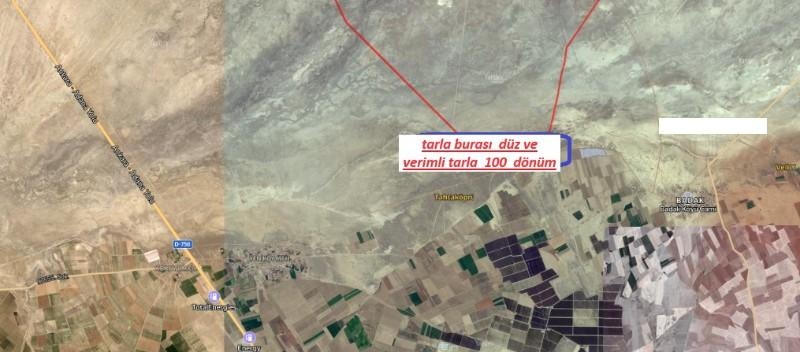 BOR KIZILCADA  100  DÖNÜM SATILIK TARLA 