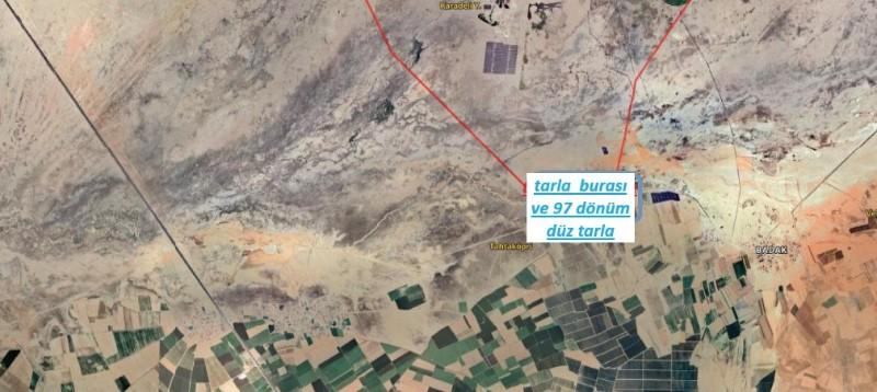 BOR KIZILCADA  100  DÖNÜM SATILIK TARLA 