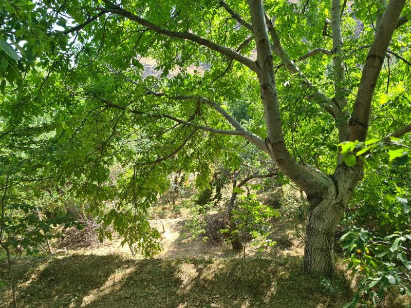 YEŞİL BURÇTA VADİ MANZARALI 1400M2 SATLIK  BAHÇE
