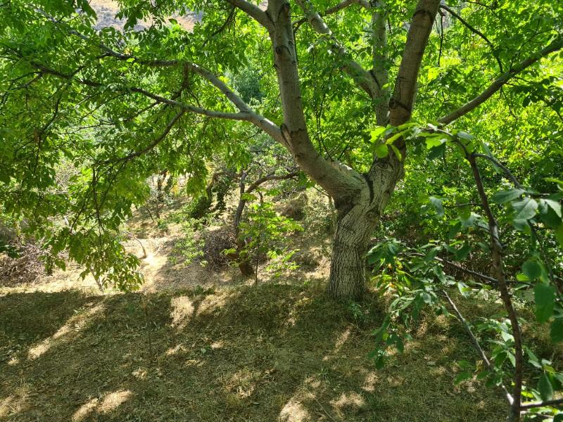 YEŞİL BURÇTA VADİ MANZARALI 1400M2 SATLIK  BAHÇE