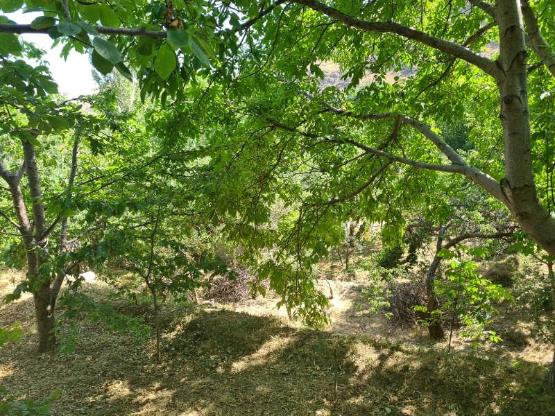 YEŞİL BURÇTA VADİ MANZARALI 1400M2 SATLIK  BAHÇE