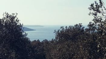 Ayvalık Cunda Adasında, Deniz Manzaralı Satılık Zeytinlik...
