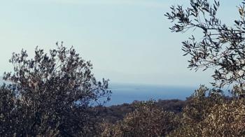 Ayvalık Cunda Adasında, Deniz Manzaralı Satılık Zeytinlik...