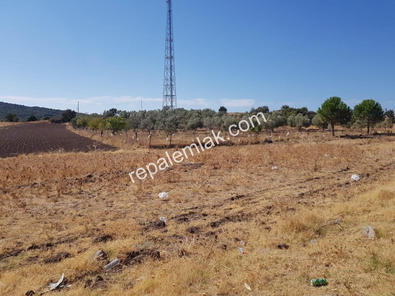 Ayvalık Çakmak Köyünde, Yola Cepheli Satılık Tarla.