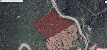 AFYON ÜÇOK EMLAKTAN KOCATEPE - ZAFER MEVKİİNDE SATILIK 10.097M² TARLA