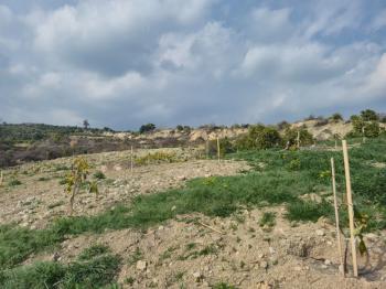 ASLAN'DAN SARIYER DE 2.694 M2 CAZİP FİYATLI SATILIK TARLA