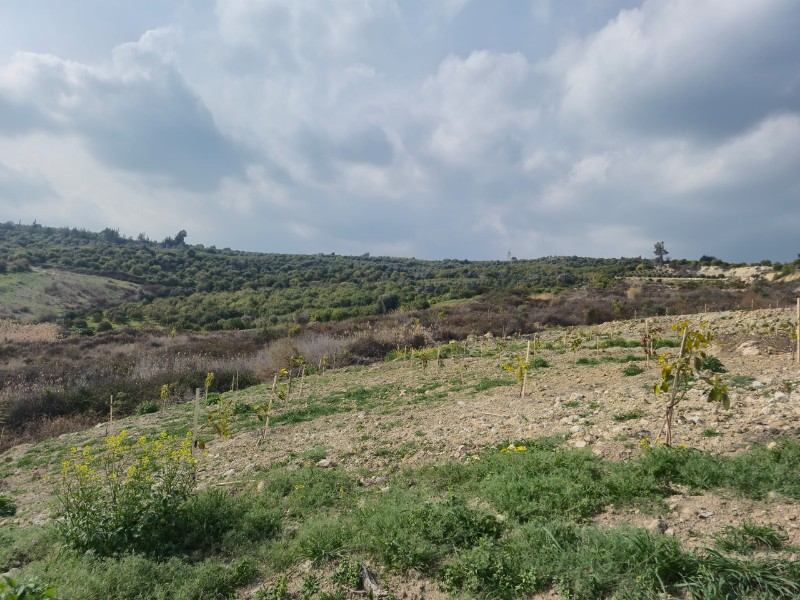 ASLAN'DAN SARIYER DE 2.694 M2 CAZİP FİYATLI SATILIK TARLA