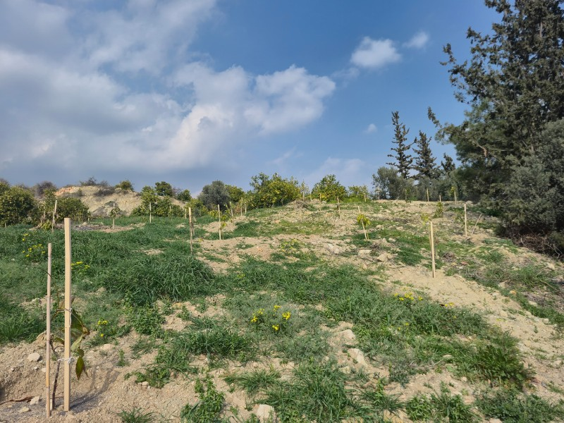 ASLAN'DAN SARIYER DE 2.694 M2 CAZİP FİYATLI SATILIK TARLA