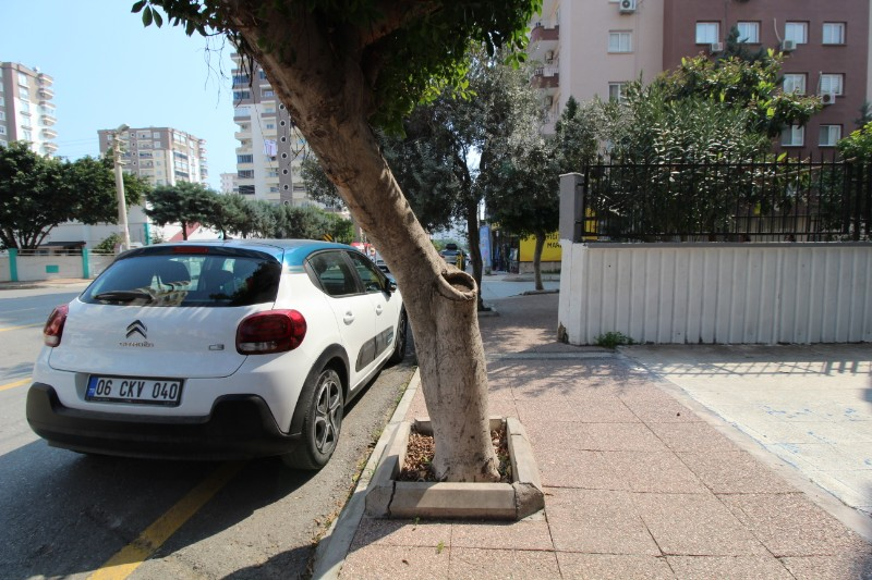 ASLAN'DAN CEVAT KUTLU CADDESİ ÜZERİ SATILIK 100 M2 DÜKKAN