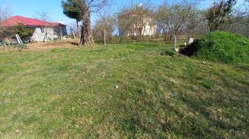 BEŞİKDÜZÜ VARDALLI'DA SATILIK 8.200 M2 BAHÇE