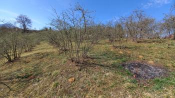 BEŞİKDÜZÜ VARDALLI'DA SATILIK 8.200 M2 BAHÇE