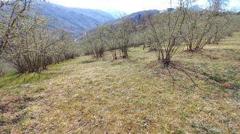 BEŞİKDÜZÜ VARDALLI'DA SATILIK 8.200 M2 BAHÇE