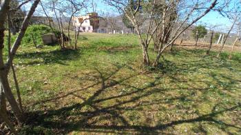 BEŞİKDÜZÜ VARDALLI'DA SATILIK 8.200 M2 BAHÇE