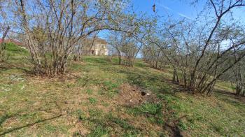 BEŞİKDÜZÜ VARDALLI'DA SATILIK 8.200 M2 BAHÇE