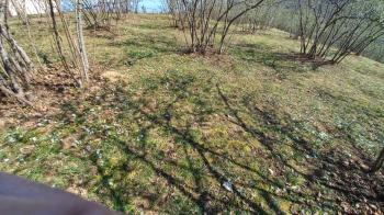 BEŞİKDÜZÜ VARDALLI'DA SATILIK 8.200 M2 BAHÇE