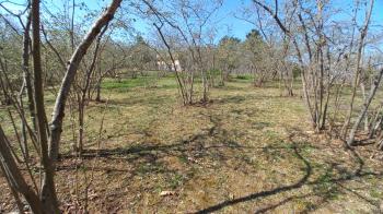 BEŞİKDÜZÜ VARDALLI'DA SATILIK 8.200 M2 BAHÇE