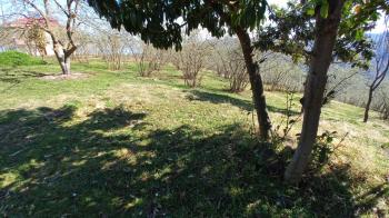 BEŞİKDÜZÜ VARDALLI'DA SATILIK 8.200 M2 BAHÇE