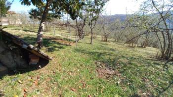 BEŞİKDÜZÜ VARDALLI'DA SATILIK 8.200 M2 BAHÇE