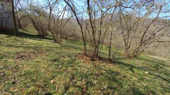 BEŞİKDÜZÜ VARDALLI'DA SATILIK 8.200 M2 BAHÇE