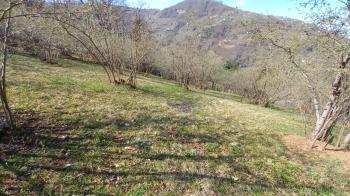 BEŞİKDÜZÜ VARDALLI'DA SATILIK 8.200 M2 BAHÇE