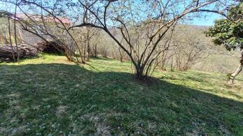 BEŞİKDÜZÜ VARDALLI'DA SATILIK 8.200 M2 BAHÇE