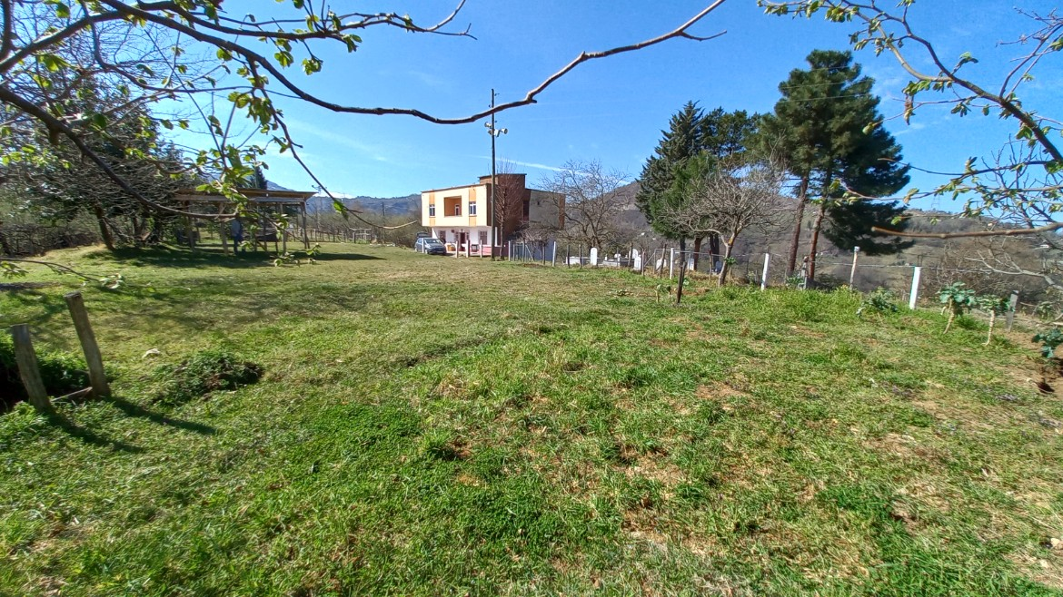 BEŞİKDÜZÜ VARDALLI'DA SATILIK 8.200 M2 BAHÇE