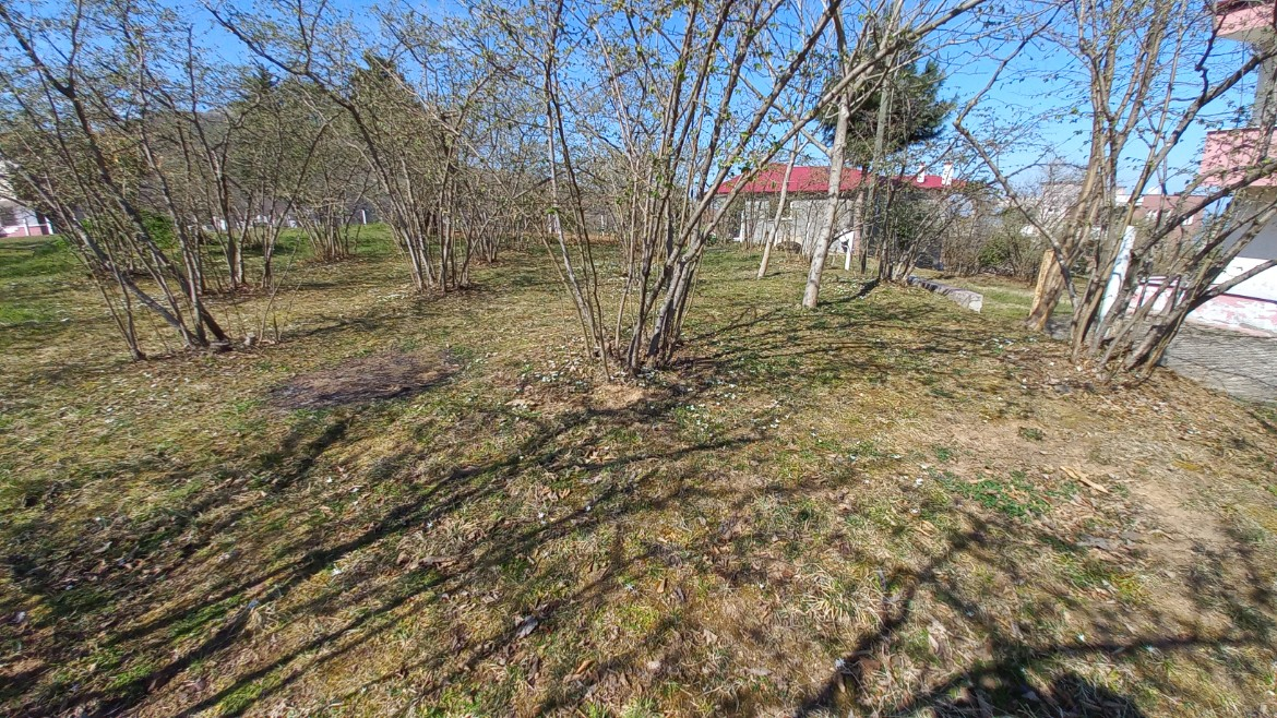 BEŞİKDÜZÜ VARDALLI'DA SATILIK 8.200 M2 BAHÇE