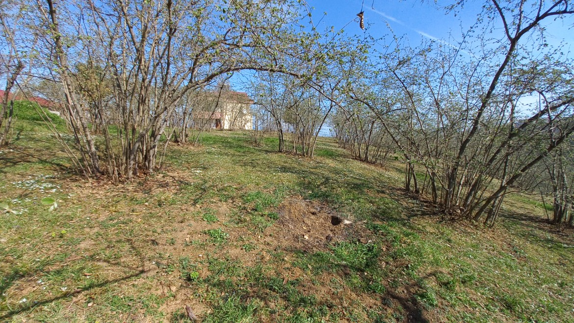 BEŞİKDÜZÜ VARDALLI'DA SATILIK 8.200 M2 BAHÇE