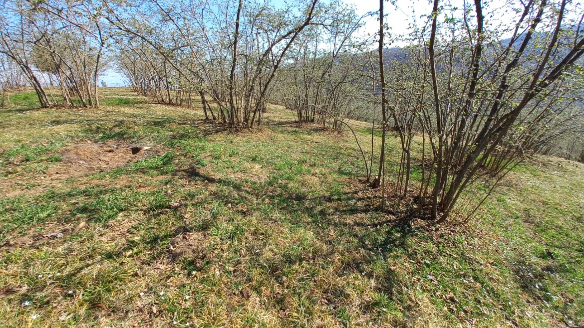 BEŞİKDÜZÜ VARDALLI'DA SATILIK 8.200 M2 BAHÇE