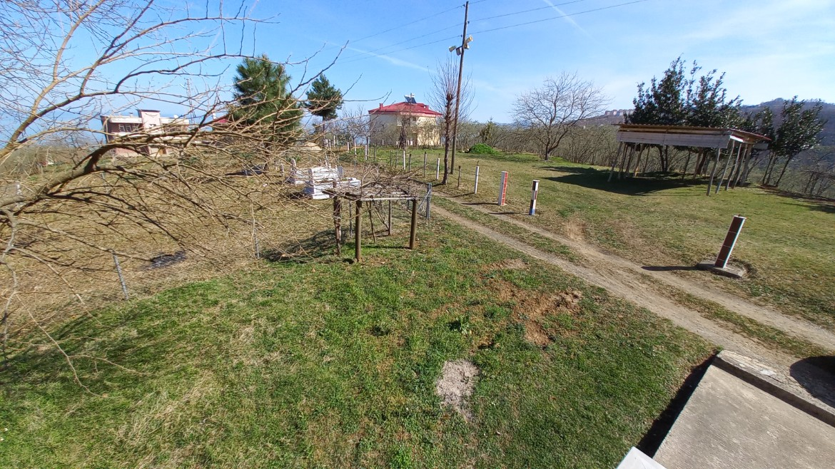 BEŞİKDÜZÜ VARDALLI'DA SATILIK 8.200 M2 BAHÇE