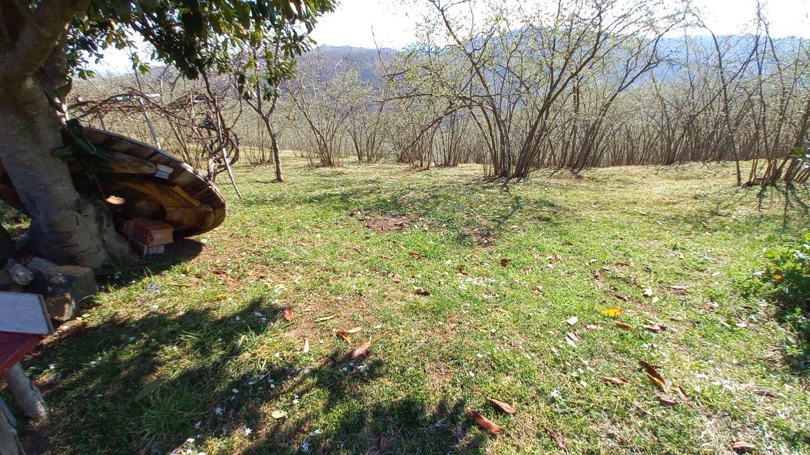 BEŞİKDÜZÜ VARDALLI'DA SATILIK 8.200 M2 BAHÇE